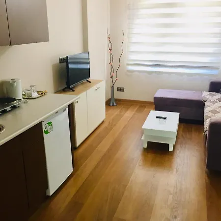 Lägenhetshotell Dogan Istanbul