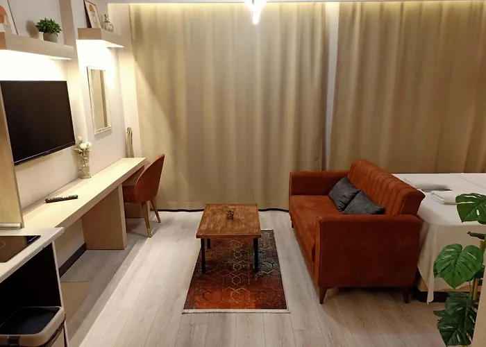 公寓式酒店 Dogan 3*